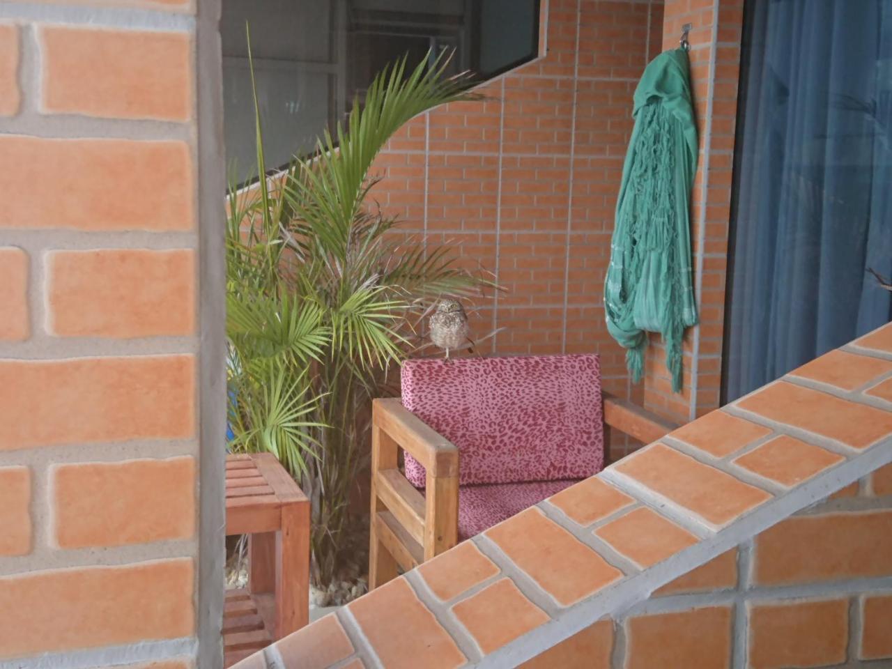 Pousada Suites Do Santinho Florianópolis المظهر الخارجي الصورة